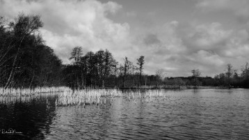 _DSC1688 Lake in Black and white